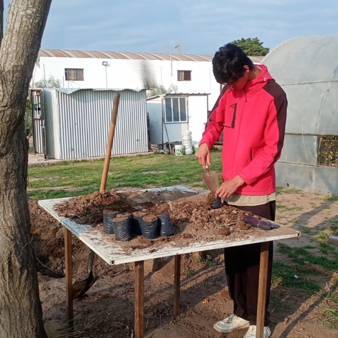  Ismael: aprendizaje y enseñanza. 