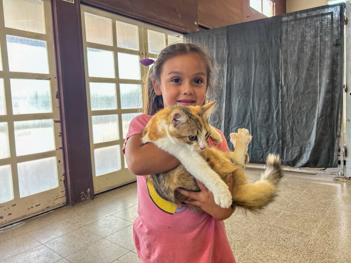 Primera Jornada de Castración masiva у gratuita 2026